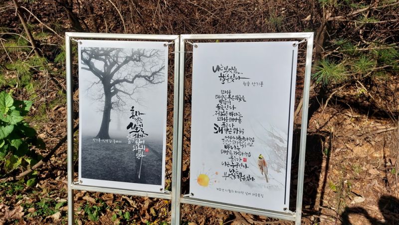 파일:Aelyong20231108 013.jpg