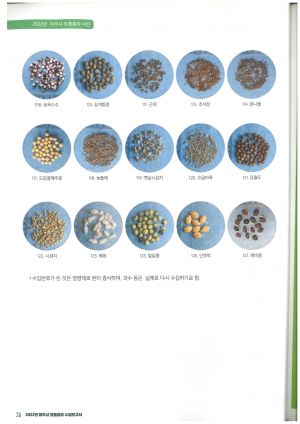 2022년파주종자 5.jpg