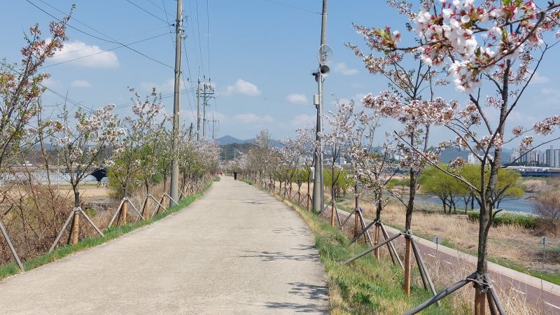 파일:공릉천제방20220415 140634.jpg