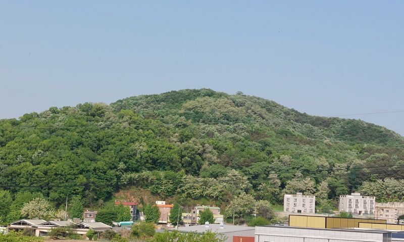 파일:20240509 만장산.jpg