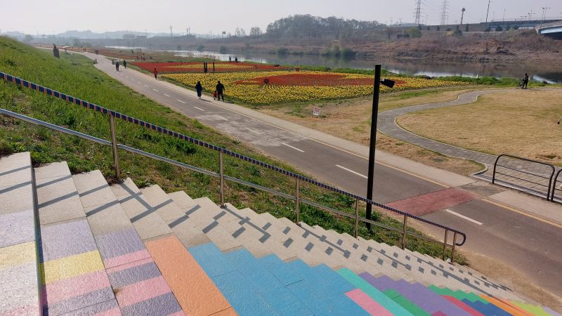 파일:공릉천튜율립20220417 090350.jpg