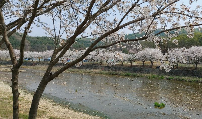 파일:눌노천 20220415 182813457.jpg