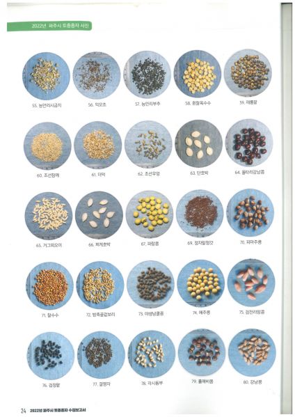 파일:2022년파주종자 3.jpg