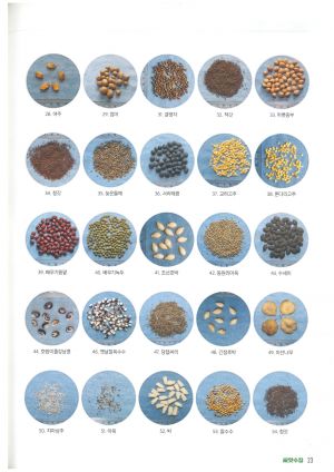 2022년파주종자 2.jpg