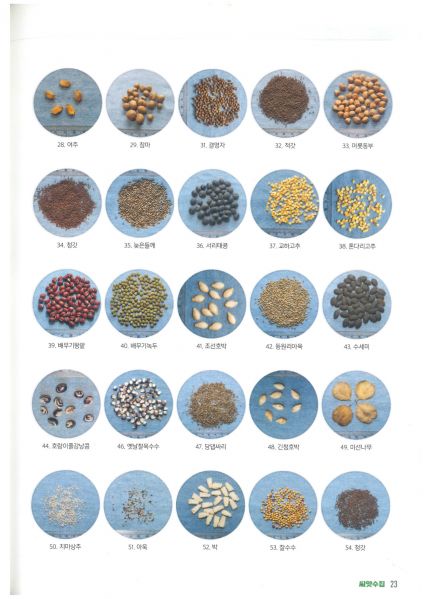 파일:2022년파주종자 2.jpg