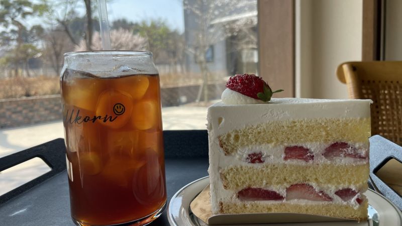 파일:Sks vollkorn 021.jpg