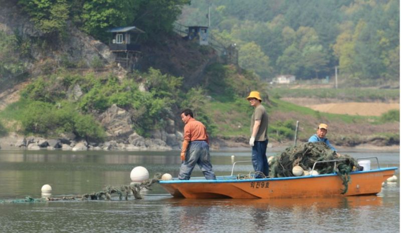파일:임진강그물설치.JPG