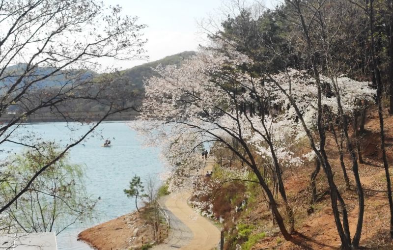 파일:마장호수 20220415 161403.jpg