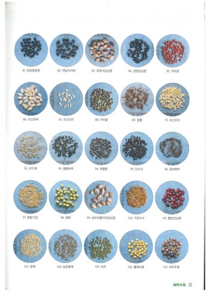 파일:2022년파주종자 4.jpg