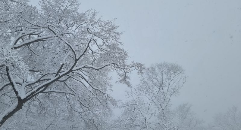 파일:Gr앵무봉 눈꽃1.jpg