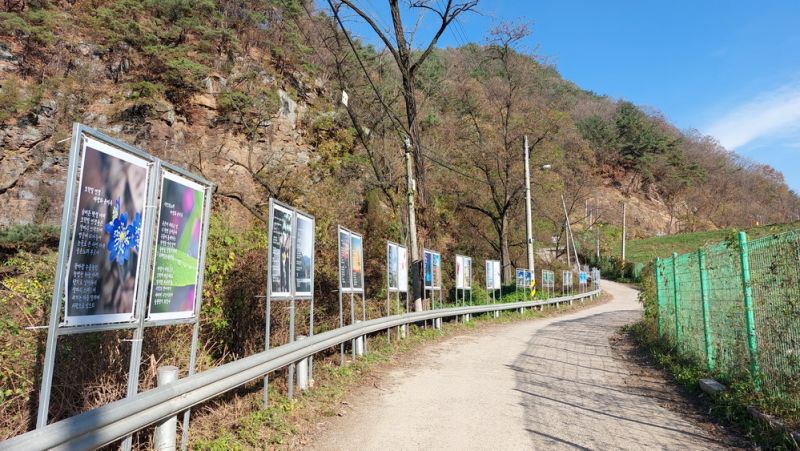 파일:Aelyong20231108 001.jpg