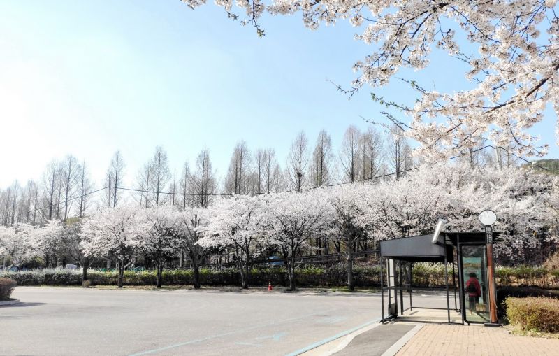 파일:마장호수 20220415 164123.jpg